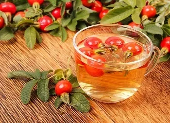 Користь і шкода відвару шипшини корисні властивості рослини для організму (відвар шипшини користь і шкода як приймати) Користь і шкода відвару шипшини корисні властивості рослини для організму