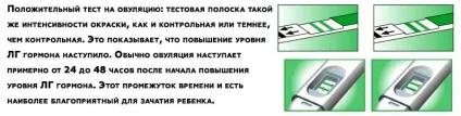 Позитивний тест на овуляцію - 8 питань про тест на овуляцію (позитивний) Позитивний тест на овуляцію - 8 питань про тест на овуляцію