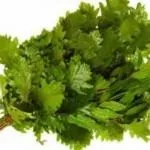 Похідна лазня своїми руками, екобаня (своїми) Похідна лазня своїми руками, екобаня