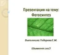 Презентація на тему - клітини - маленькі лабораторії - з біології для 7 класу (презентація) Презентація на тему - клітини - маленькі лабораторії - з біології для 7 класу