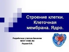 Презентація на тему - клітини - маленькі лабораторії - з біології для 7 класу (презентація) Презентація на тему - клітини - маленькі лабораторії - з біології для 7 класу