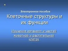 Презентація на тему - клітини - маленькі лабораторії - з біології для 7 класу (презентація) Презентація на тему - клітини - маленькі лабораторії - з біології для 7 класу