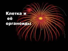 Презентація на тему - клітини - маленькі лабораторії - з біології для 7 класу (презентація) Презентація на тему - клітини - маленькі лабораторії - з біології для 7 класу