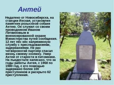 Презентація - пам'ятник собакам - завантажити безкоштовно
