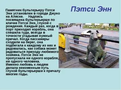 Презентація - пам'ятник собакам - завантажити безкоштовно (собакам) Презентація - пам'ятник собакам - завантажити безкоштовно