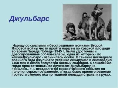 Презентація - пам'ятник собакам - завантажити безкоштовно