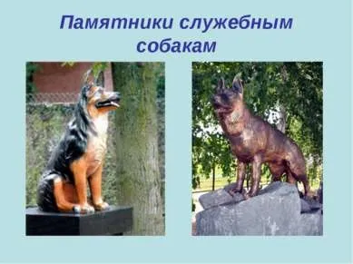 Презентація - пам'ятник собакам - завантажити безкоштовно
