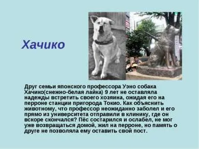Презентація - пам'ятник собакам - завантажити безкоштовно