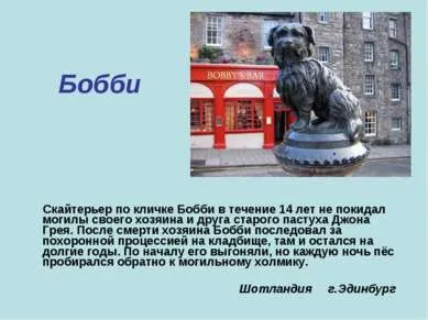 Презентація - пам'ятник собакам - завантажити безкоштовно