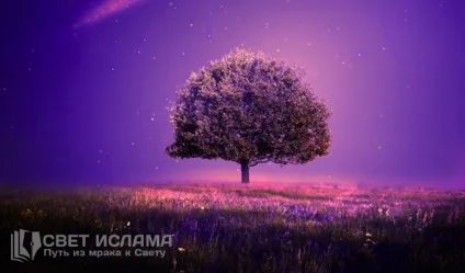 Причини невизнання істини 1 (істини) Причини невизнання істини 1