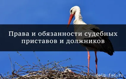 Права і обов'язки судових приставів і боржників - що потрібно знати (судових) Права і обов'язки судових приставів і боржників - що потрібно знати