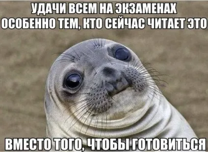 Прикольні картинки про сесію
