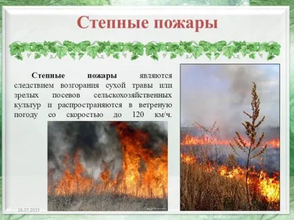 Презентація на тему степові пожежі (степові пожежі. Степові пожежі є наслідком загорання сухої трави або зрілих посівів сільськогосподарських культур і поширюються в вітряну.) Презентація на тему степові пожежі