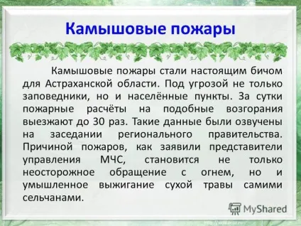 Презентація на тему степові пожежі (Очеретяні пожежі Очеретяні) Презентація на тему степові пожежі