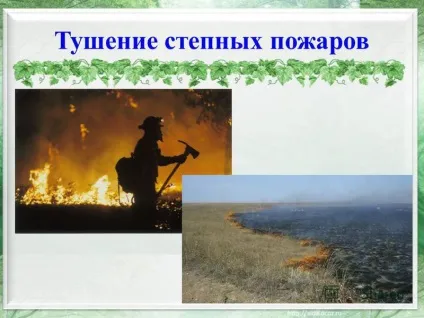 Презентація на тему степові пожежі (Очеретяні пожежі Очеретяні пожежі) Презентація на тему степові пожежі