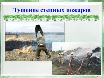 Презентація на тему степові пожежі (Очеретяні пожежі Очеретяні пожежі) Презентація на тему степові пожежі