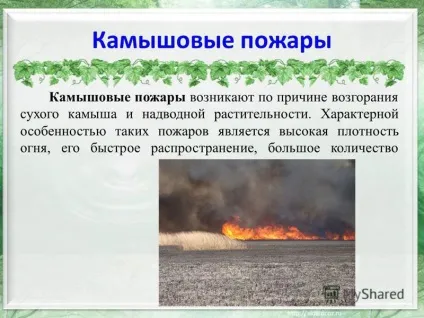 Презентація на тему степові пожежі (Очеретяні пожежі Очеретяні пожежі) Презентація на тему степові пожежі