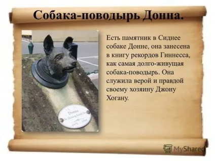 Презентація на тему пам'ятники собакам (тему) Презентація на тему пам'ятники собакам