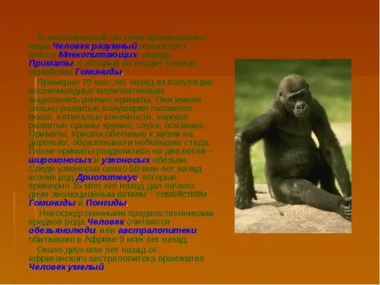 Презентація по темі людина як унікальний вид живої природи (ppt) Презентація по темі людина як унікальний вид живої природи