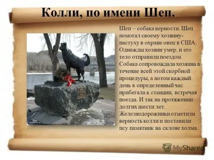 Презентація на тему пам'ятники собакам (Пам'ятник собаці сидить) Презентація на тему пам'ятники собакам