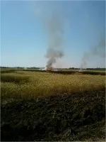 При поводженні з вогнем в степовій місцевості (обігу) При поводженні з вогнем в степовій місцевості