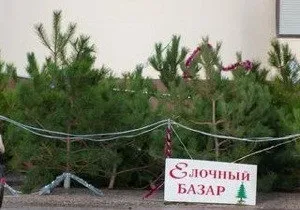 Продаж новорічних ялинок як бізнес (новорічних) Продаж новорічних ялинок як бізнес