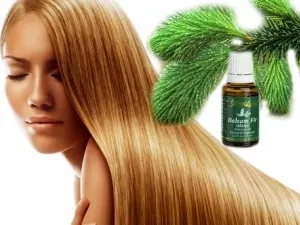 Застосування ялицевої олії і його цілющі властивості (масла) Застосування ялицевої олії і його цілющі властивості