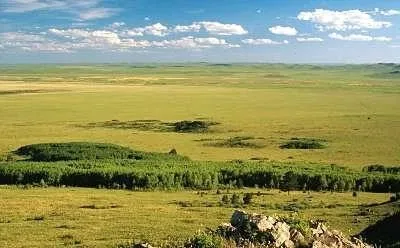 природний ландшафт
