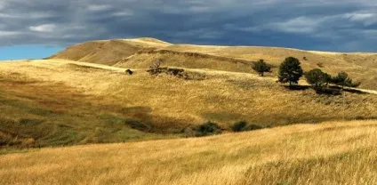 Природа Північної Америки