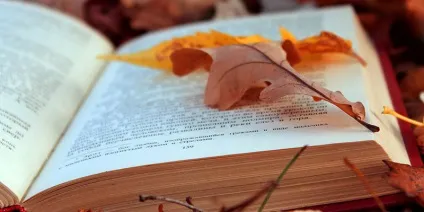 Профілактика хвороби Альцгеймера у жінок, препарати (альцгеймера) Профілактика хвороби Альцгеймера у жінок, препарати