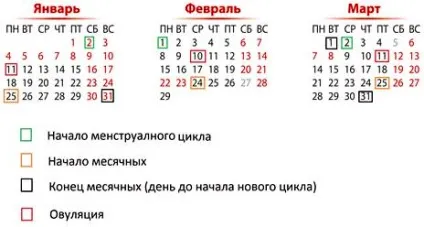 Ознаки початку овуляції коли настає овуляція при 30 денному циклі (овуляція) Ознаки початку овуляції коли настає овуляція при 30 денному циклі