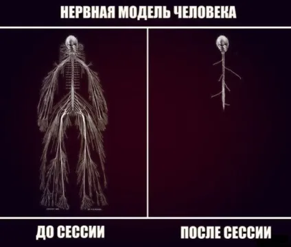 Прикольні картинки про сесію