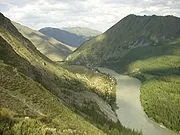 Психоделік транс - це