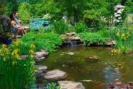 Ставок на дачі своїми руками фото, покроково відео (своїми) Ставок на дачі своїми руками фото, покроково відео