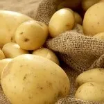 Розведення корисних комах сонечко, щипавка і інші - чудова дача (комах) Розведення корисних комах сонечко, щипавка і інші - чудова дача