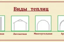Розміри теплиці з полікарбонату як розрахувати оптимальну довжину і ширину