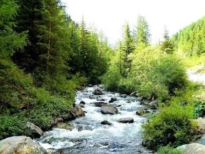 Річки гірського алтая - путівник по республіці Алтай (Алтай) Річки гірського алтая - путівник по республіці Алтай
