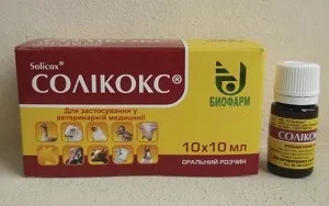 Риніт у кроликів чим небезпечний інфекційний риніт і методи лікування (причини) Риніт у кроликів чим небезпечний інфекційний риніт і методи лікування