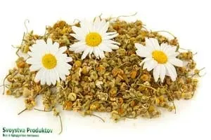 Ромашковий чай користь і шкода, як заварювати