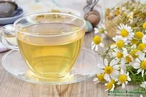Ромашковий чай користь і шкода, як заварювати
