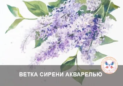 Малювання троянди аквареллю