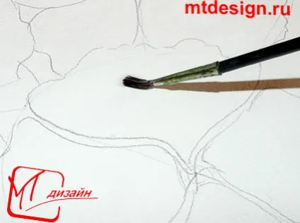 Троянди аквареллю, mtdesign