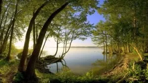 ловля амура
