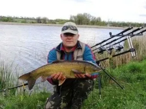 Ловля білого амура на донку і пружину (білого) Ловля білого амура на донку і пружину