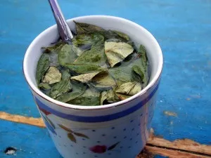 Лікування головного болю народними засобами і методами (лікування) Лікування головного болю народними засобами і методами