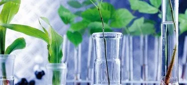 Лікування вакцинами і вірусами