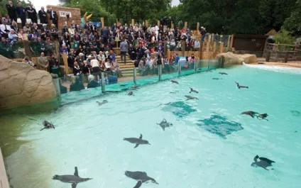 Лондонський зоопарк (london zoo) - історія експозиції тварини (експозиції) Лондонський зоопарк (london zoo) - історія експозиції тварини