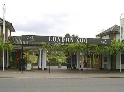 Лондонський зоопарк (london zoo) - історія експозиції тварини (london) Лондонський зоопарк (london zoo) - історія експозиції тварини