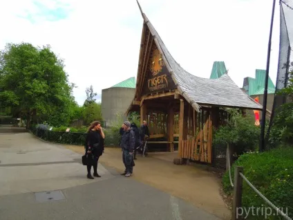 Лондонський зоопарк - царство звірів в великобританії (london zoo) Лондонський зоопарк - царство звірів в великобританії