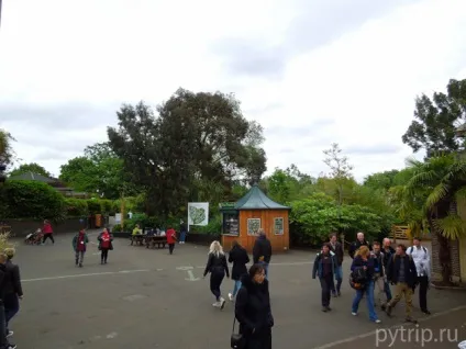 Лондонський зоопарк - царство звірів в великобританії (царство) Лондонський зоопарк - царство звірів в великобританії